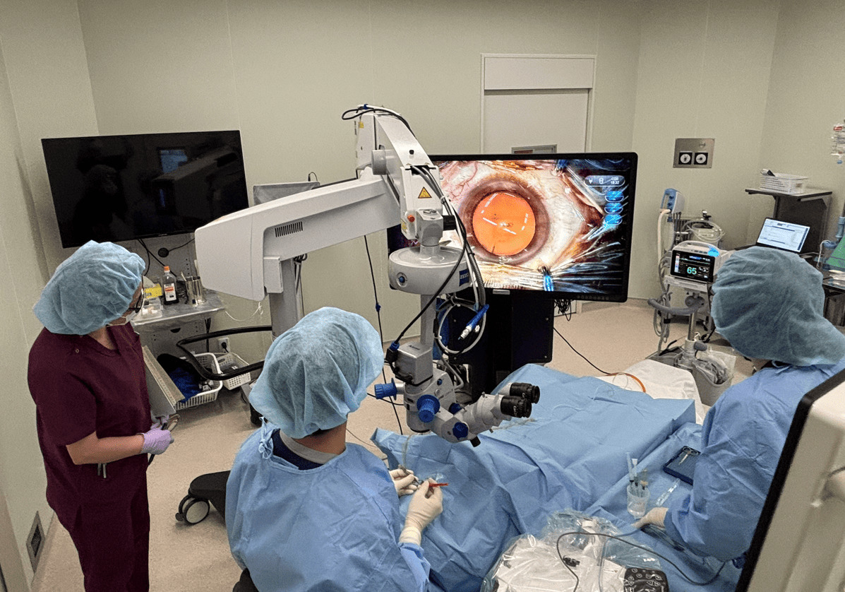 NGENUITY 3D Visualization System